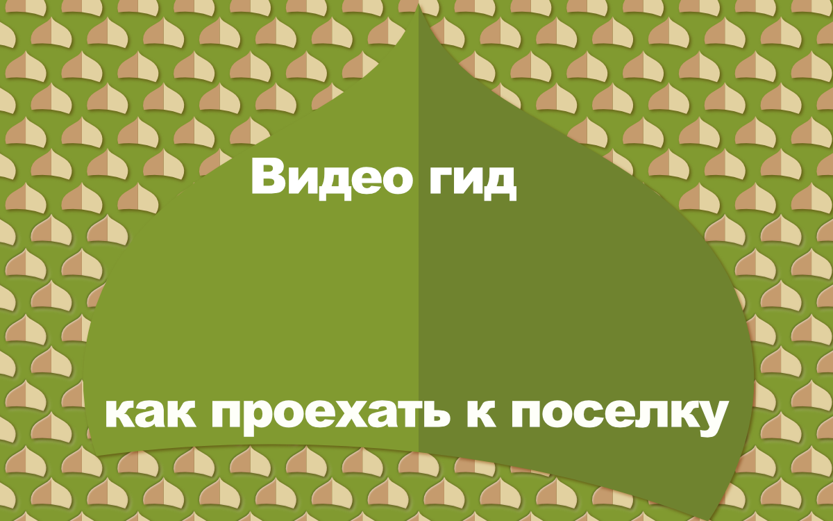 e1507cd6-8f63-4803-ae7e-dcf40a7f23a8-как проехать к поселку.png